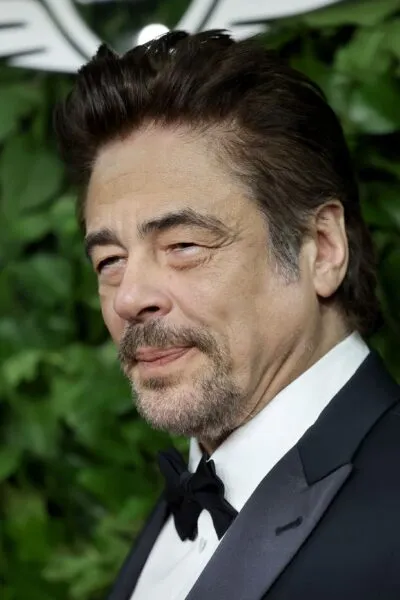 Benicio del Toro