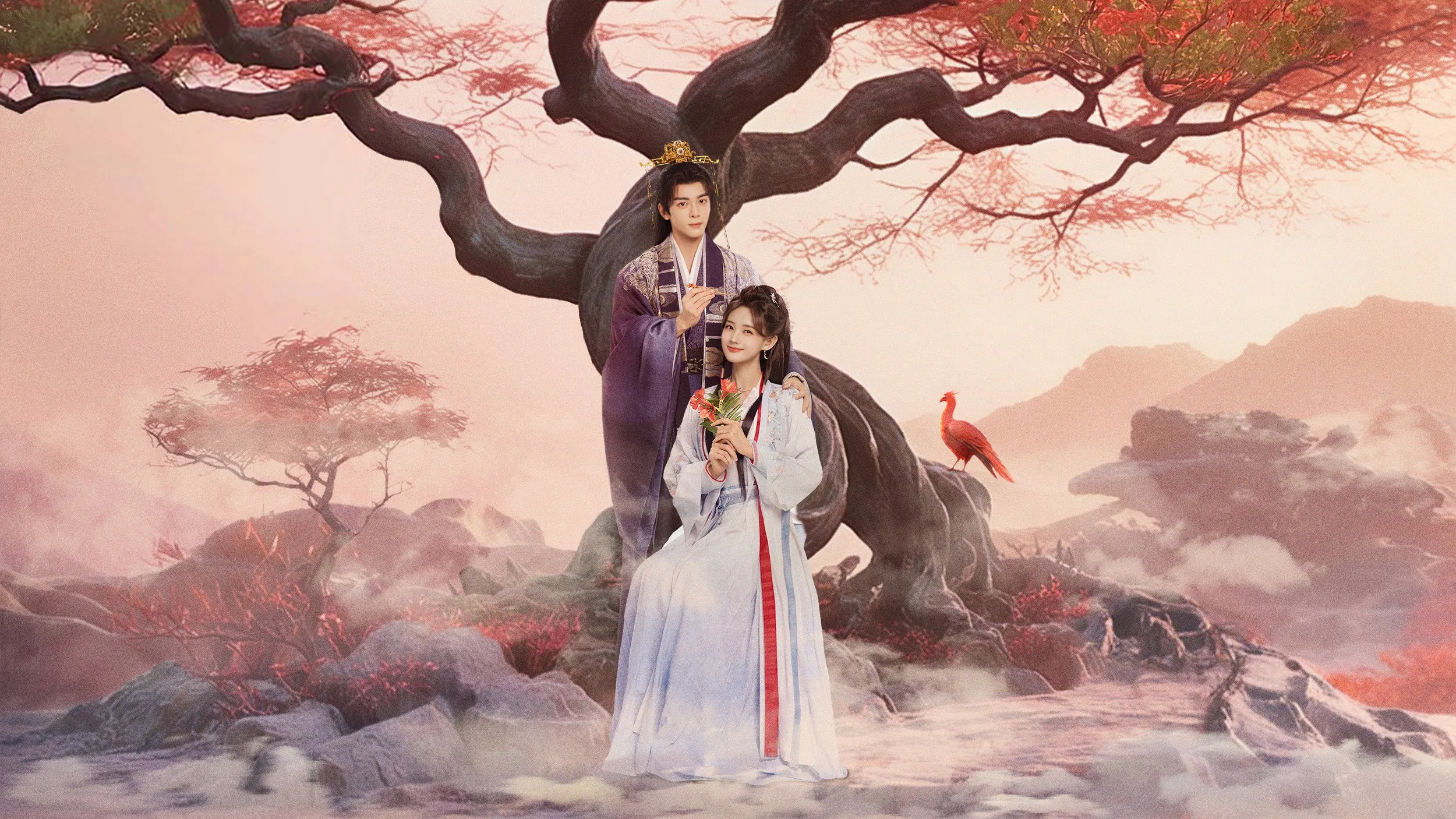 Hình ảnh gallery